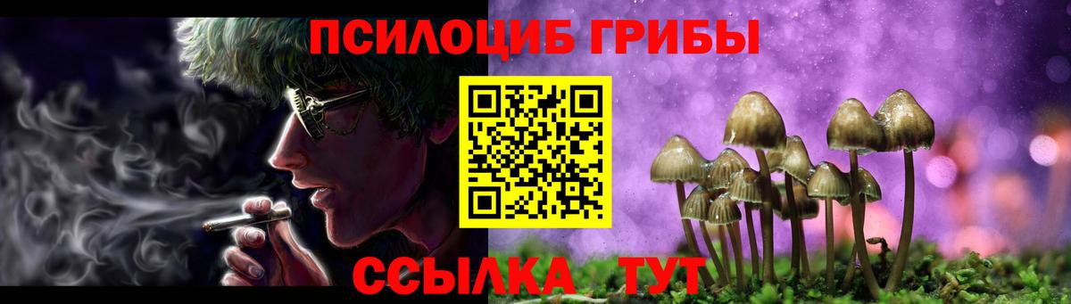Галлюциногенные грибы мухоморы Берёзовский