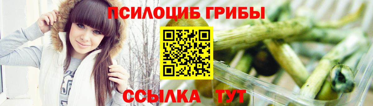 Псилоцибиновые грибы Psilocybine cubensis  Вход с VPN  Берёзовский  как найти закладки  Галлюциногенные грибы мицелий 